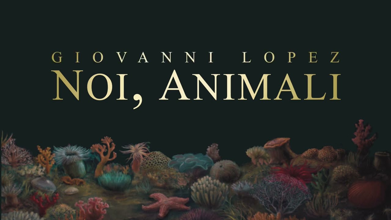 NOI, ANIMALI - Museo La Specola