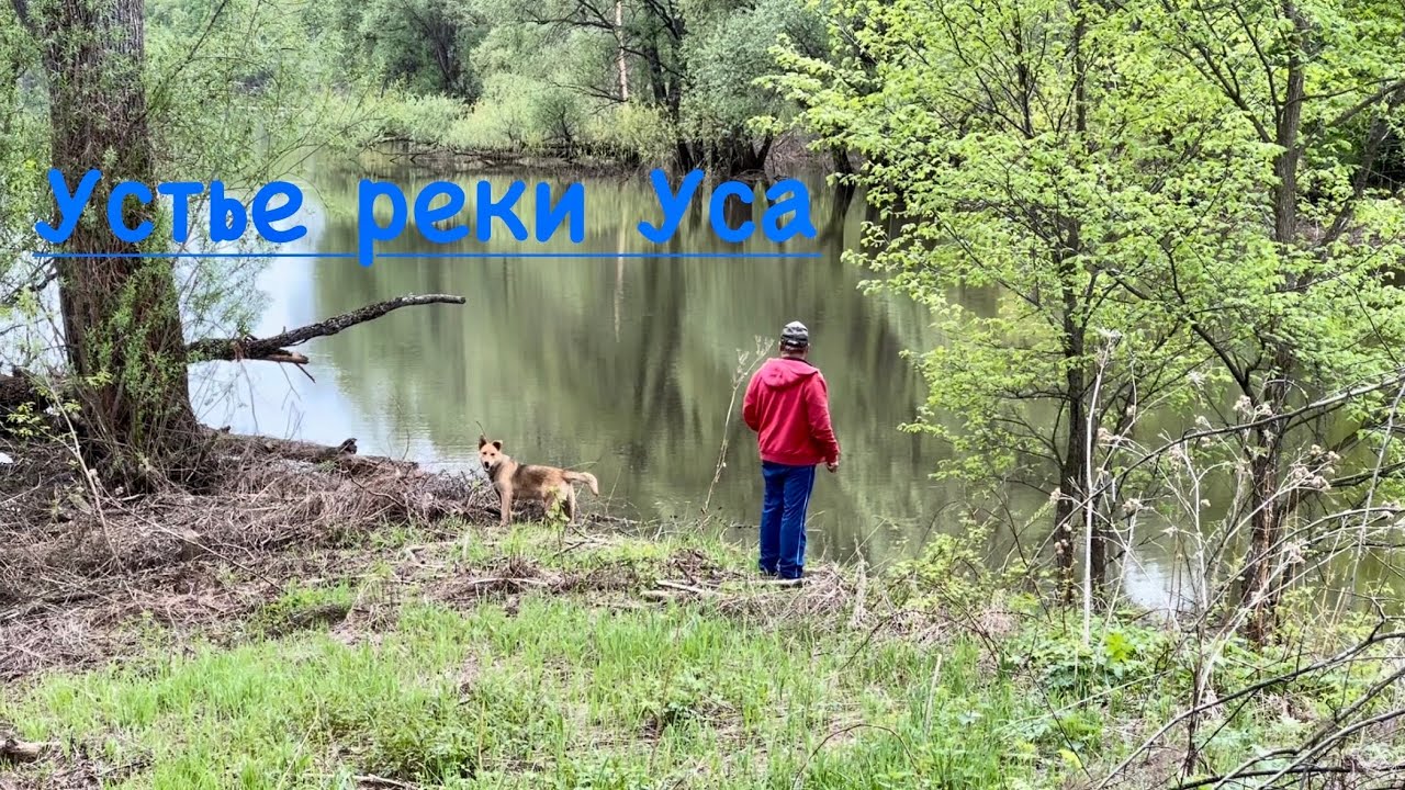 УСТЬЕ РЕКИ УСА | БАШКИРИЯ | ЭКСПЕДИЦИЯ НА ШНИВАХ