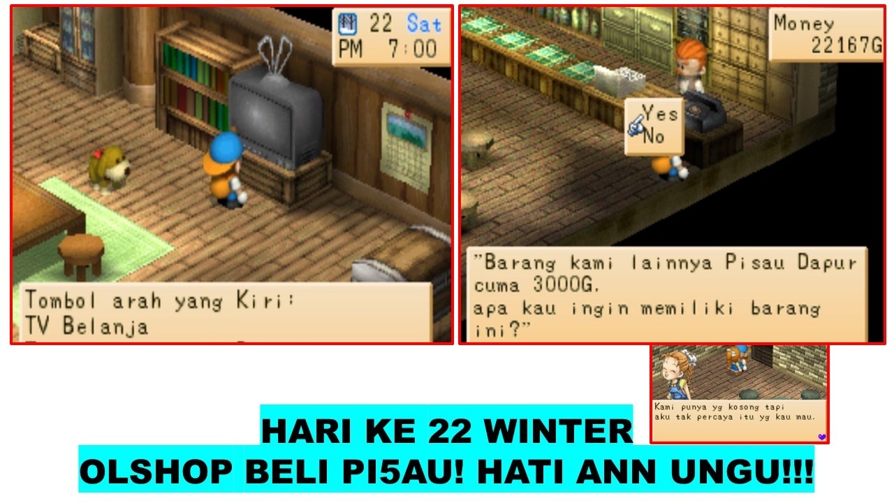 HARVEST MOON BACK TO NATURE HARI 22 WINTER SAATNYA OLSHOP HATI ANN UNGU LAGEE