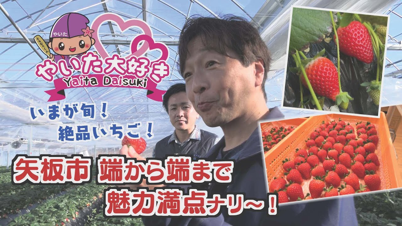 やいた大好きyoutube2025年12月(12月25日放送)