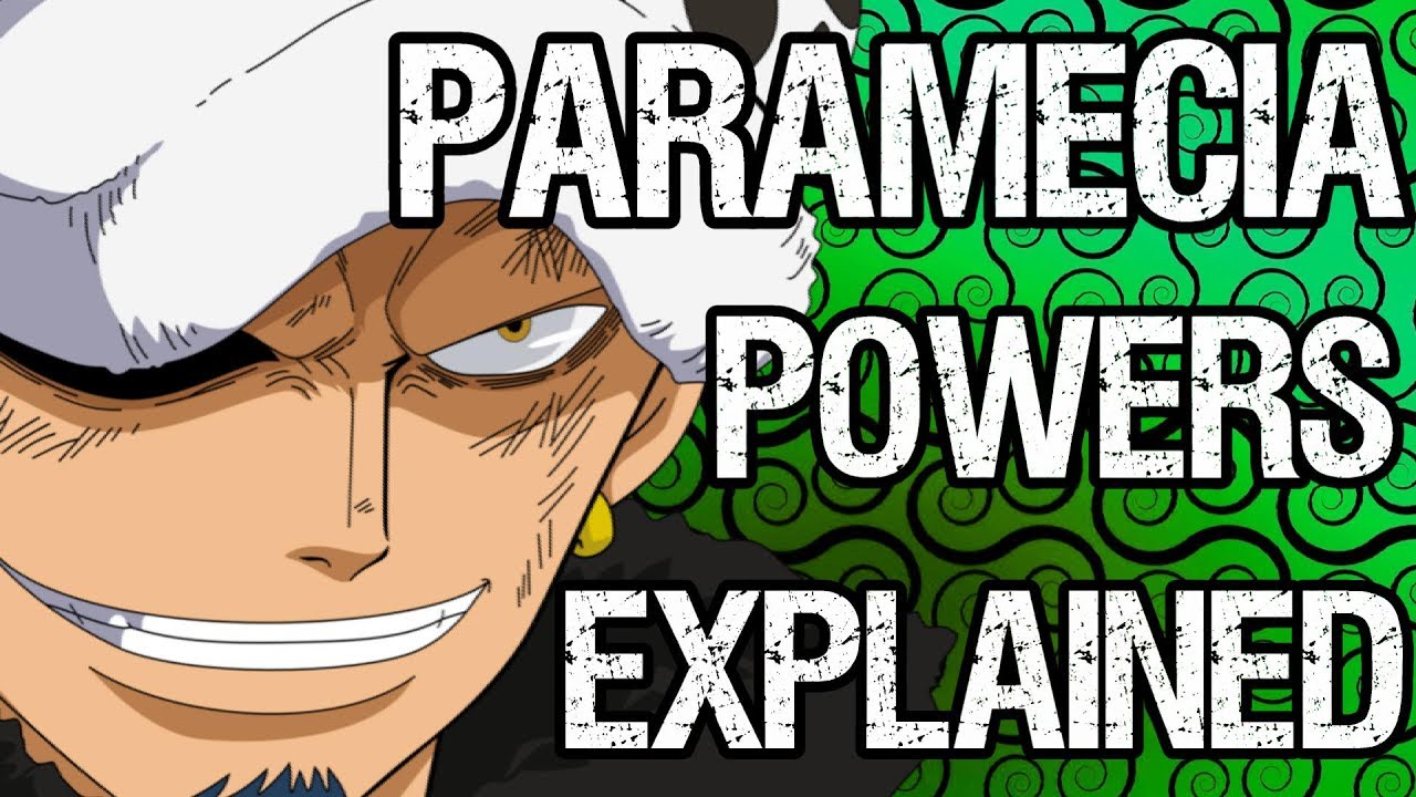 PARAMECIA Fruits Explained: The Good, The Bad and The OP | Tekking101