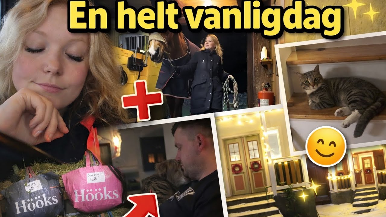 En helt vanlig dag