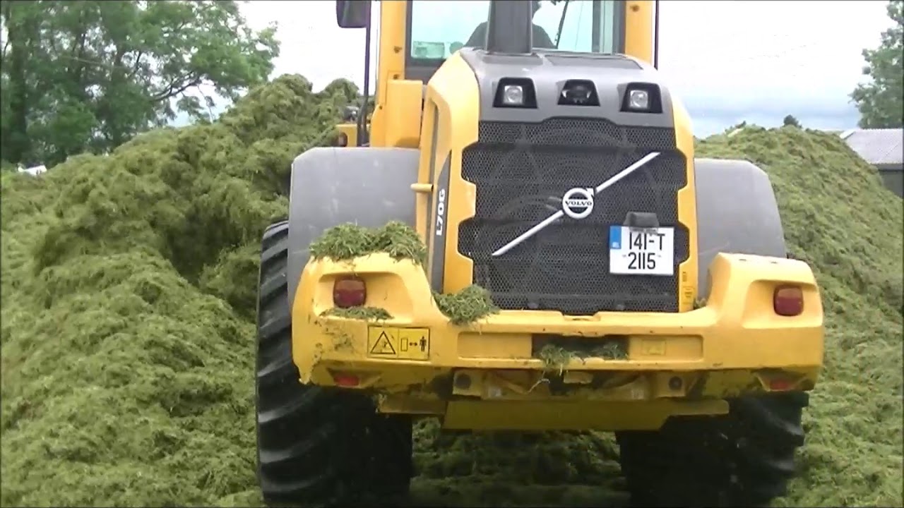 Volvo L70G pushing up silage