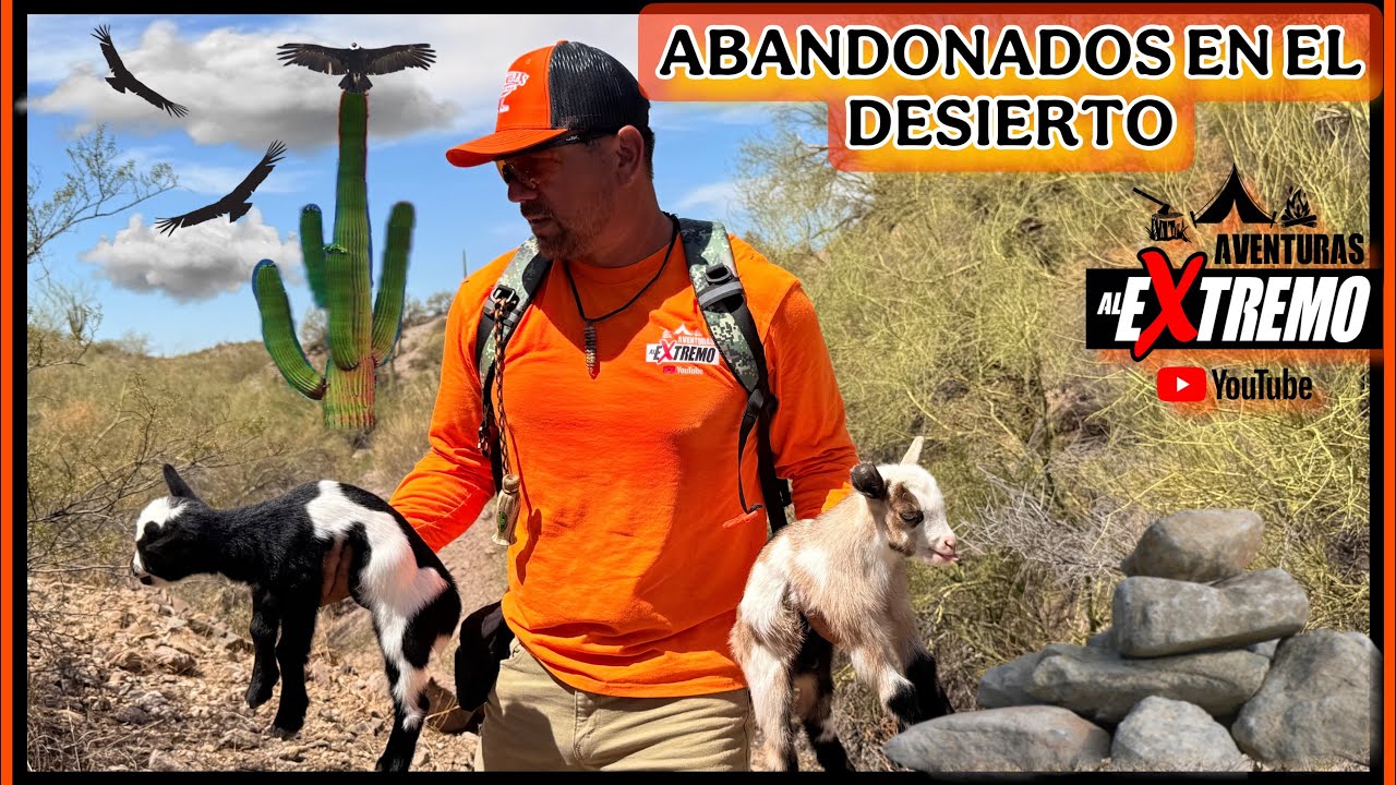 ABANDONADOS EN EL DESIERTO LA GENTE NO TIENE CORAZÓN..