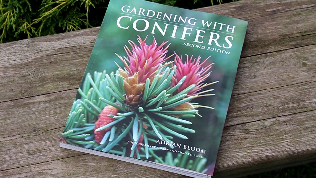 Gardening with Conifers