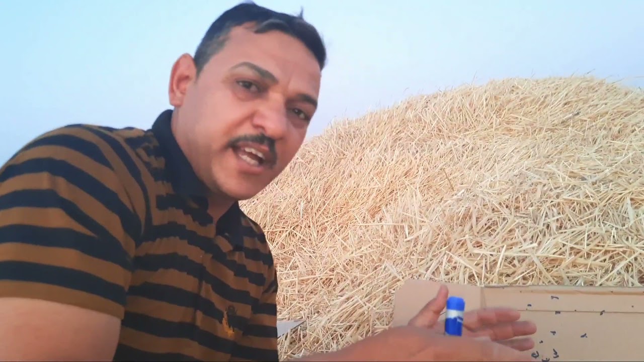 توضيح نظام الجوكات وتدللون 🥰 لا تنسه الاشتراك تحياتي لكل المشاهدين