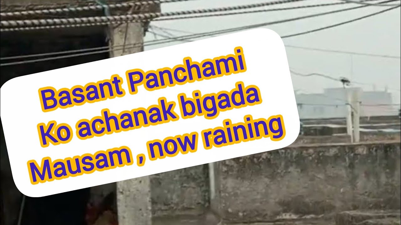Basant panchami ko achanak mausam bigada, Delhi Ghaziabad Noida Gurugram mein jhamajham barish shuru