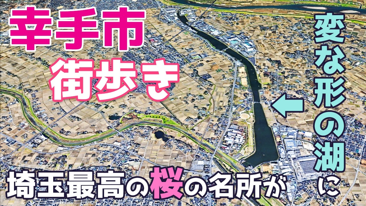 埼玉県幸手市を街歩き　権現堂桜堤の桜並木と菜の花の光景が凄い 日光街道と日光御成道が合流する宿場町