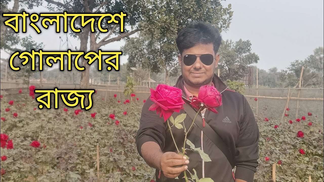 গোলাপ ফুলের রাজ্য, গোলাপ গ্রাম।