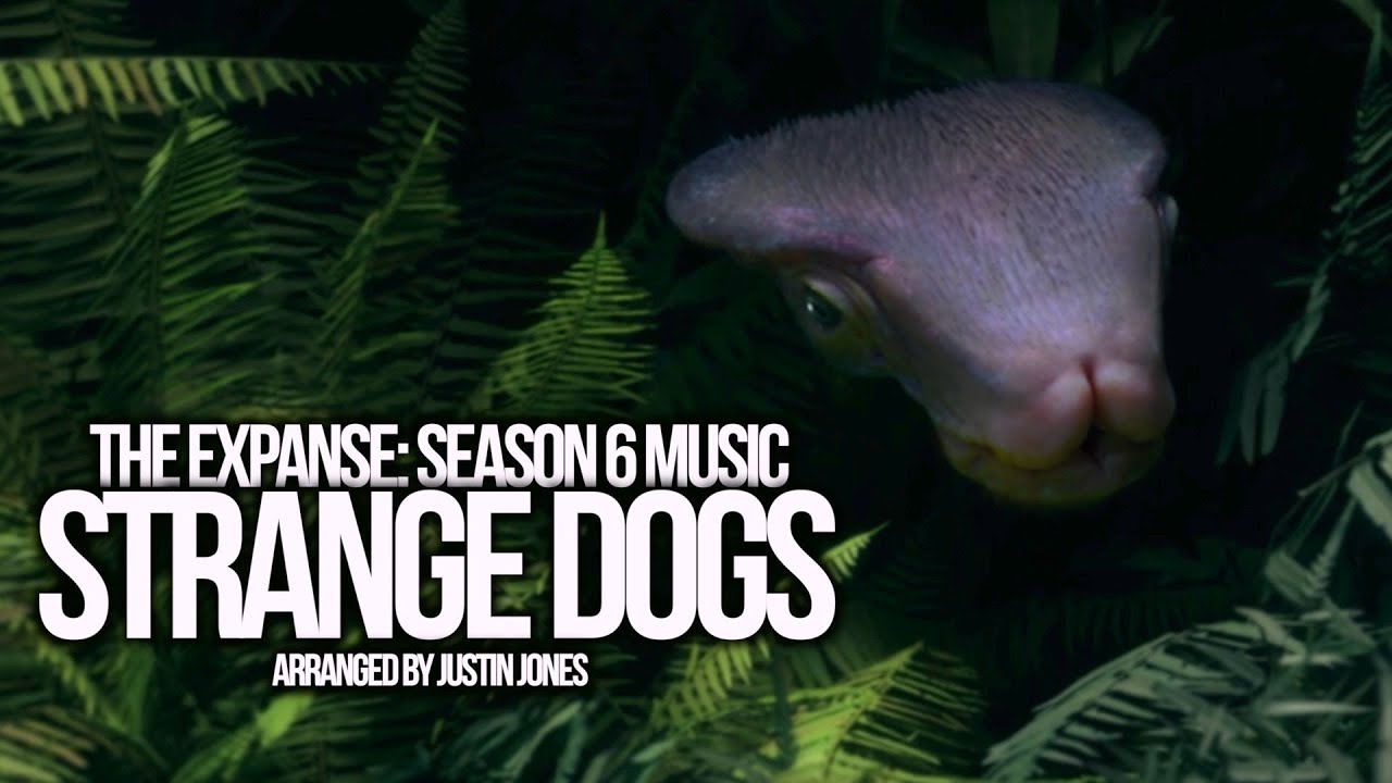 Strange Dogs | The Expanse: Season 6 Soundtrack (Arranged by Justin Jones)