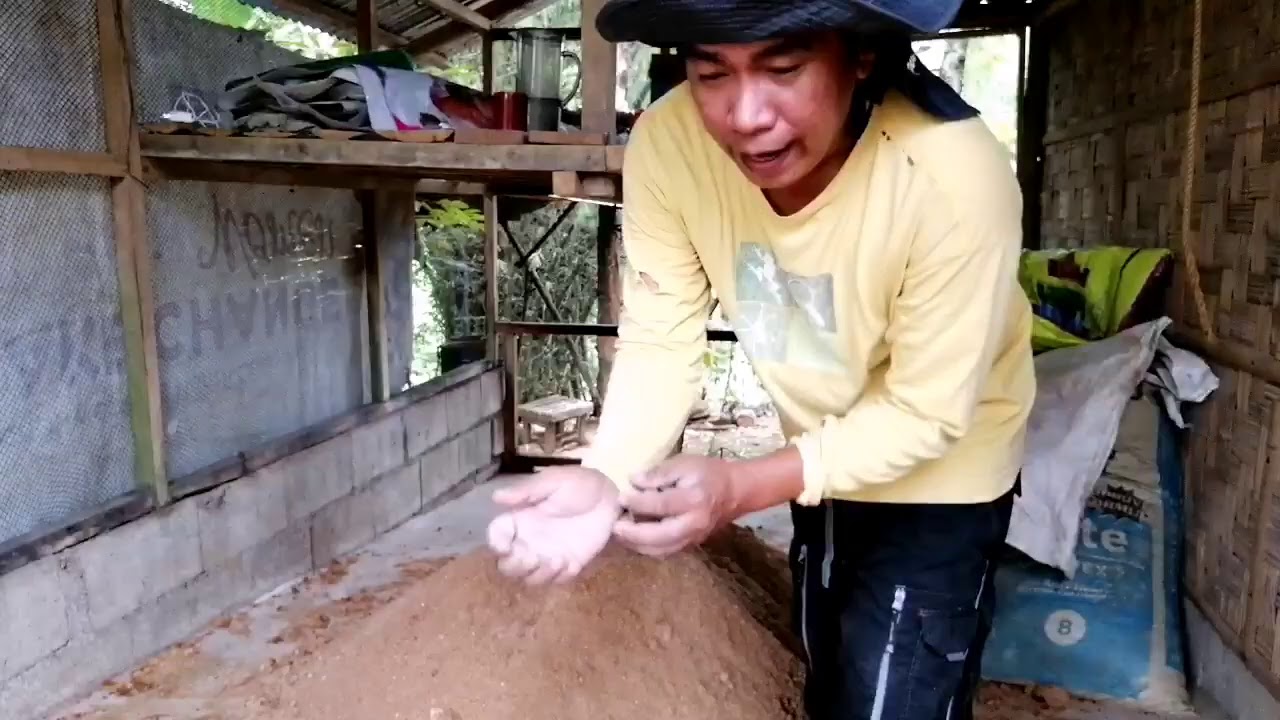 Episode 4: How to make a sawdust substrate perfect for  oyster mushroom