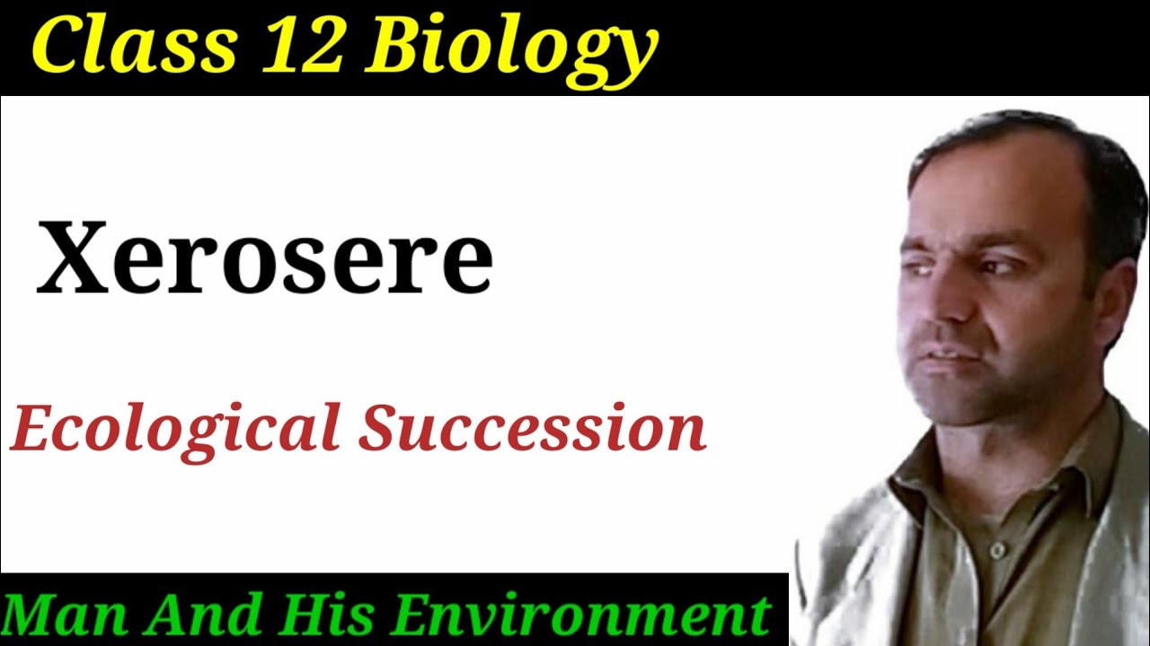 Xerosere Succession Class 12 Biology | Ecological Succession | Ecology.