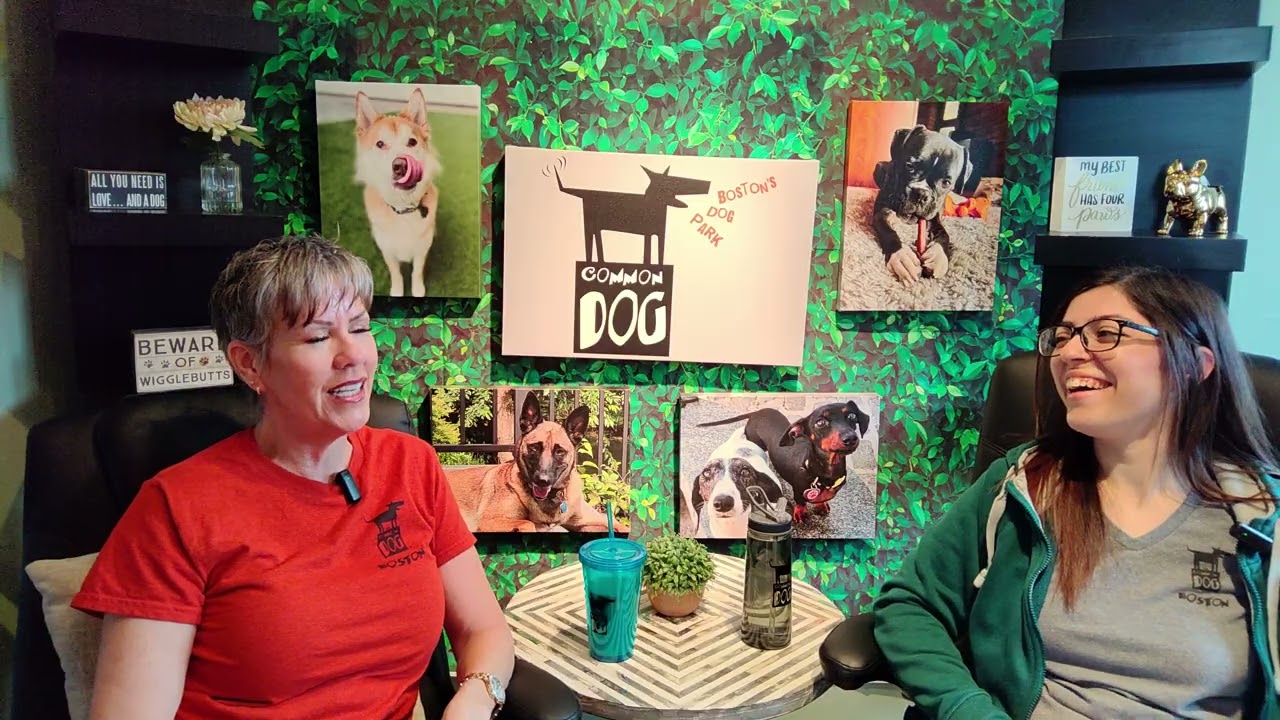 TCD Podcast - Laura and Sabrina: Our Head Groomer!