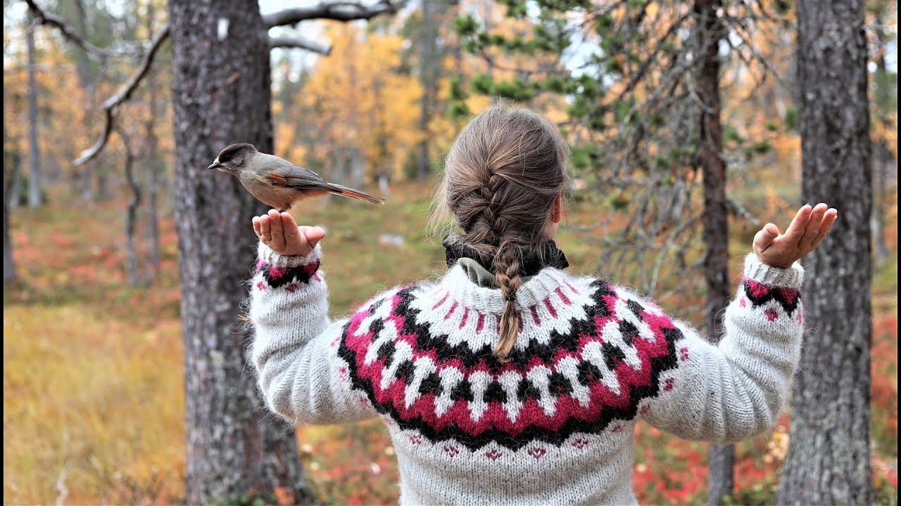 Ruskareissu Kilpisjärven kautta Norjan Senjan saarelle 2022.