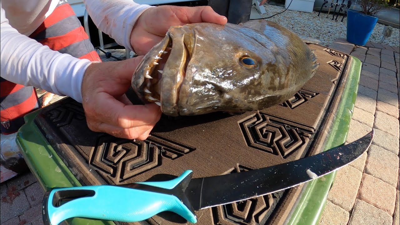The Fish that Crushed my Brothers Finger! (Amberjack vs Snapper Catch Clean & Cook)