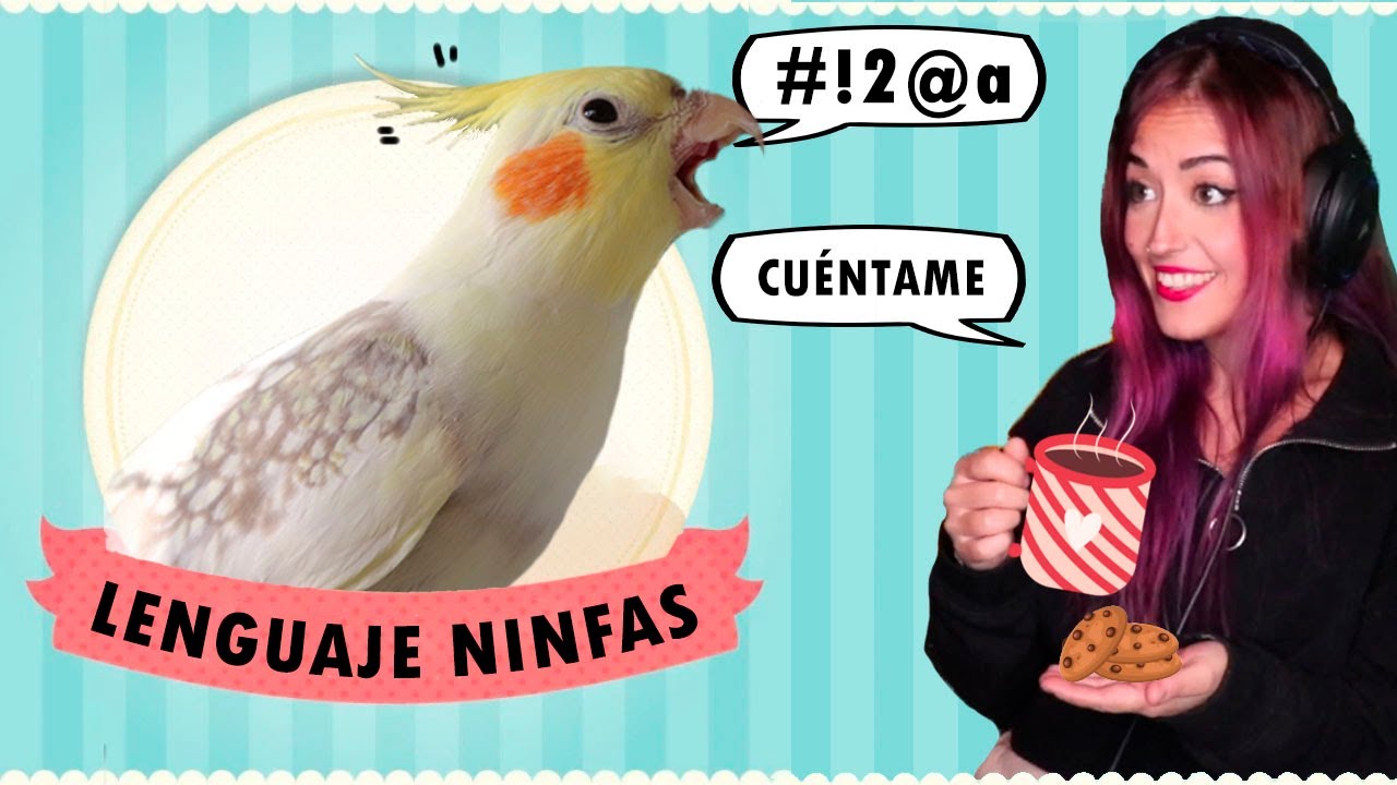 🤫Esto te quiere decir tu ninfa | Lenguaje corporal💬