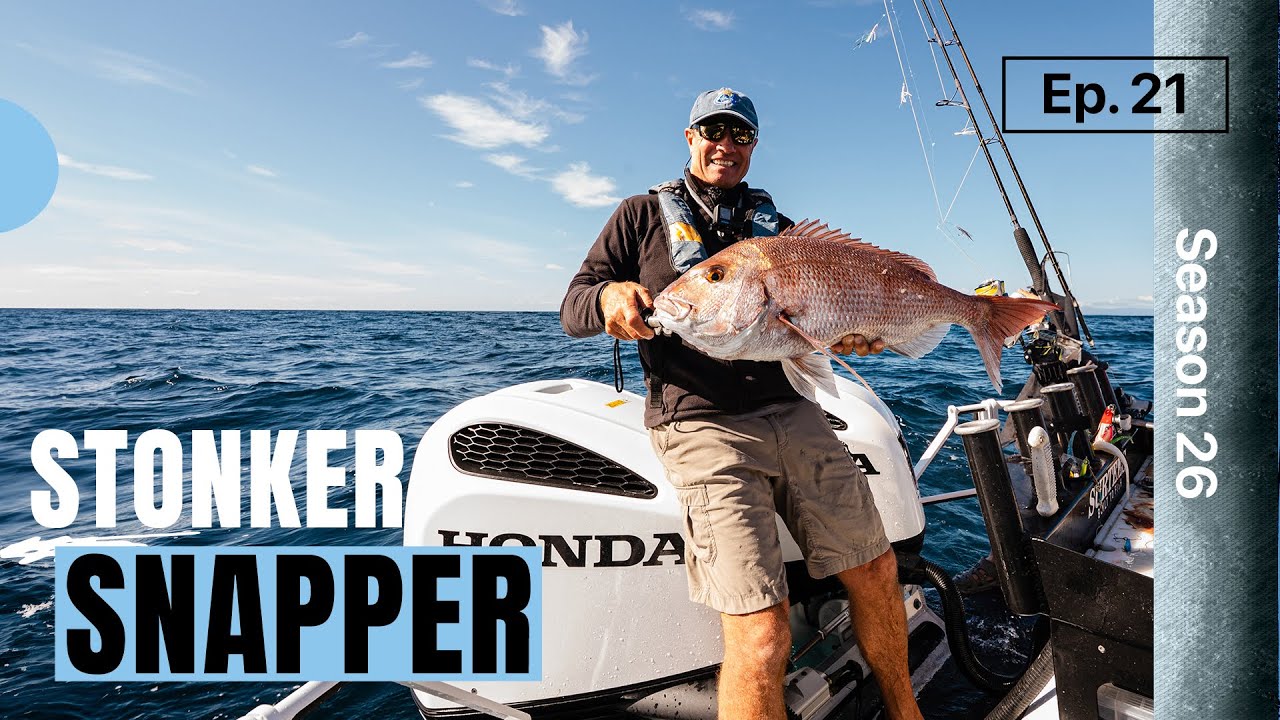 Epic N.Z. Snapper fishing at Great Barrier Island. ET lands an old stonker!