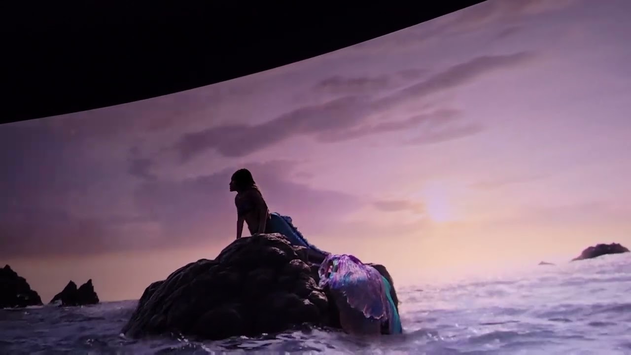 Little mermaid #mermaid #shorts
