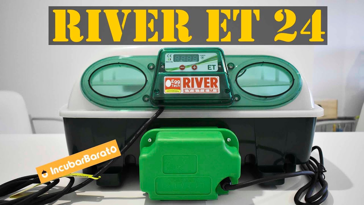 Incubadora River ET 24 🎁