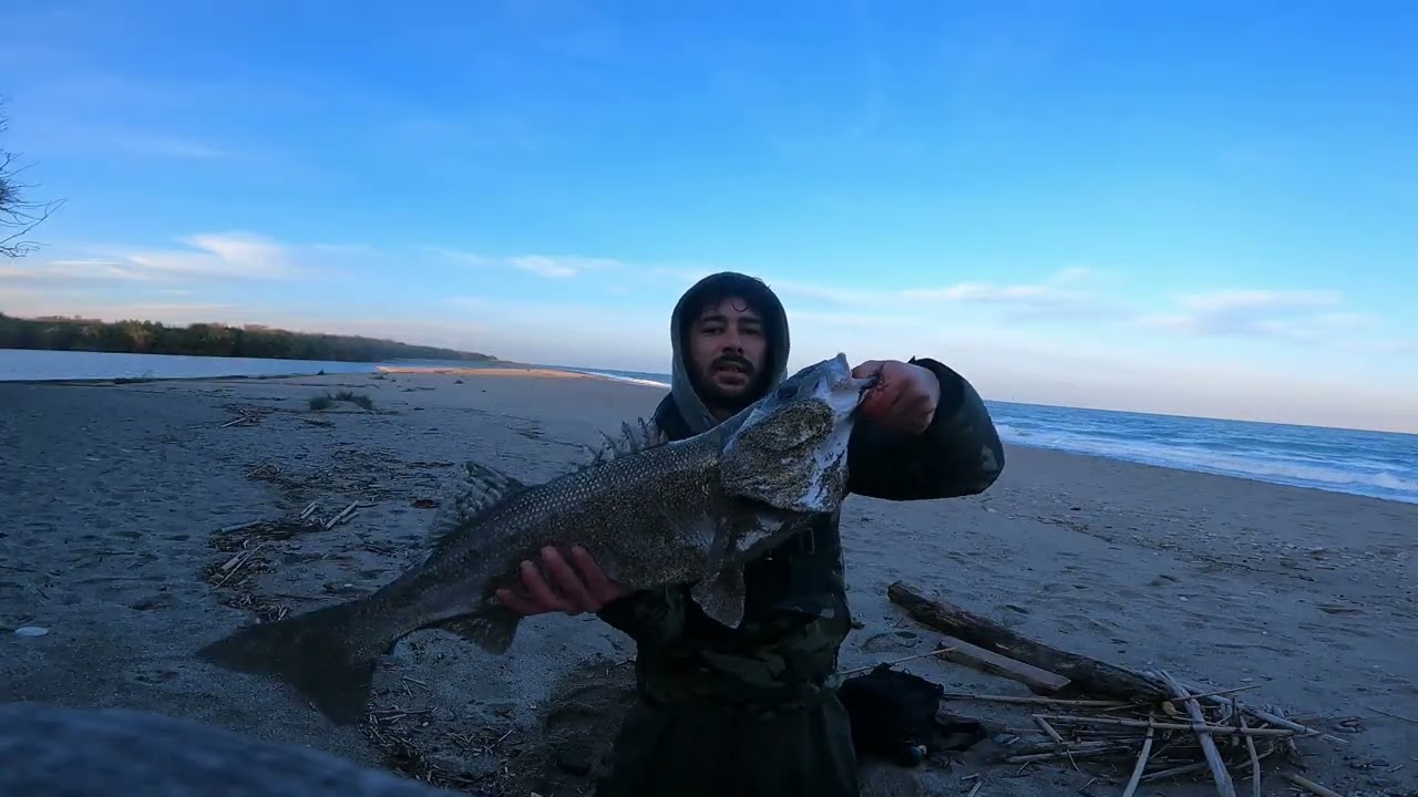 PÊCHE au GROS LOUP dans les VAGUES EN PLAGE [WADING]