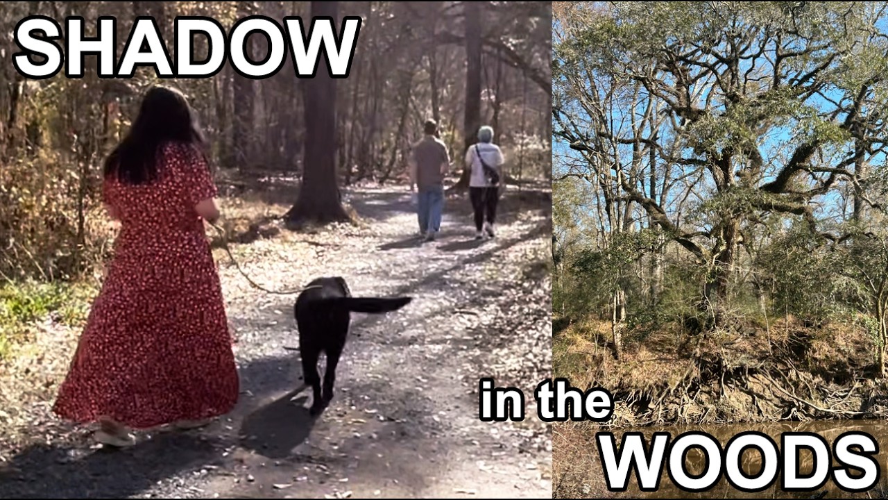 I Took My Dog Shadow for a Hike - You'll NEVER Guess What We Found