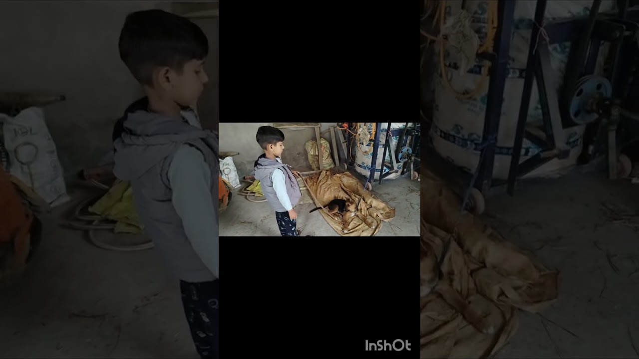 अक्ष की funny video और मस्ती और fun🤣😜🤣#shortsfeed #yt #perfectalices #shor #foryou #trending #comedy