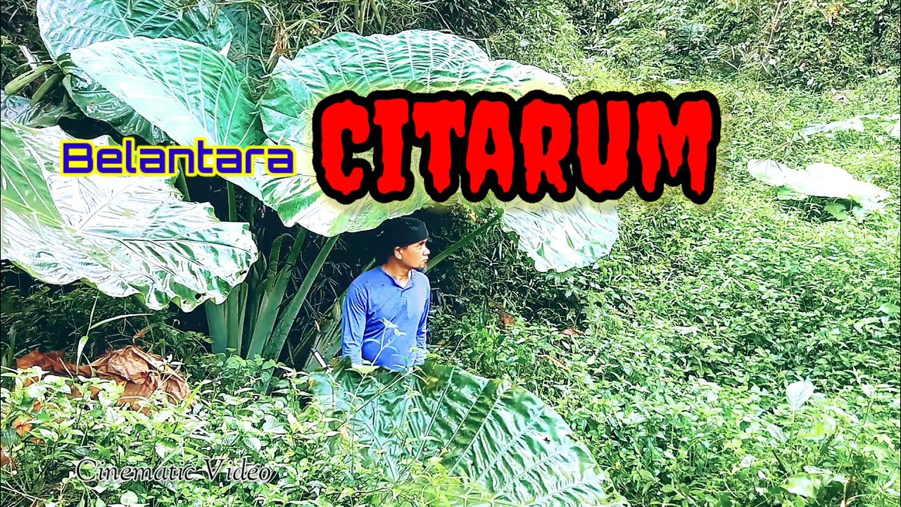Belukar Citarum Cinematic