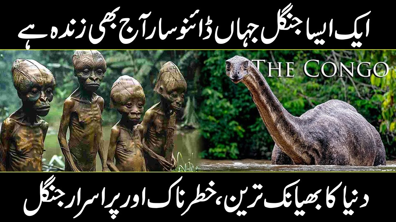 Congo Rainforest Documentry In Urdu | Congo Rainforest Mysteries