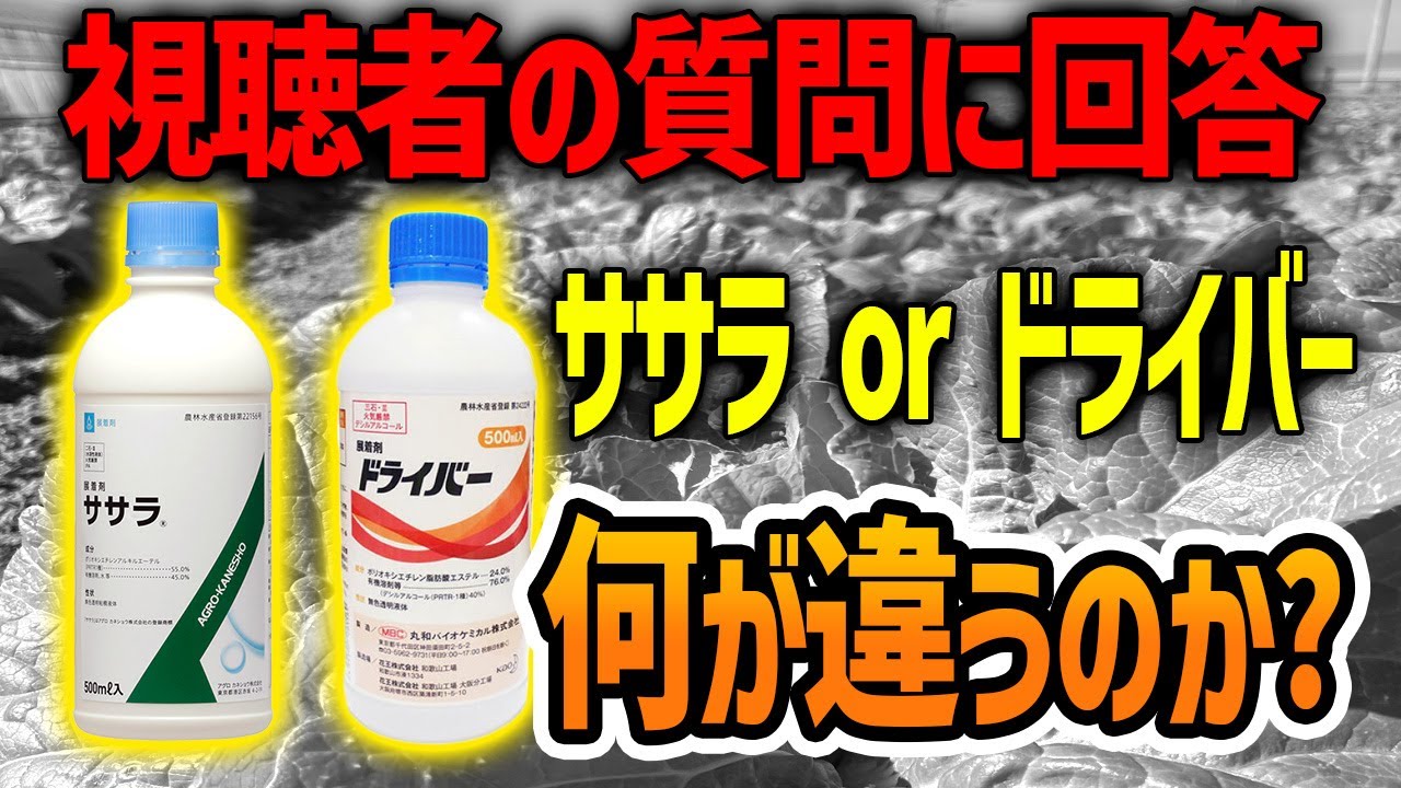 【回答】ドライバーは高いからササラでＯＫ？？
