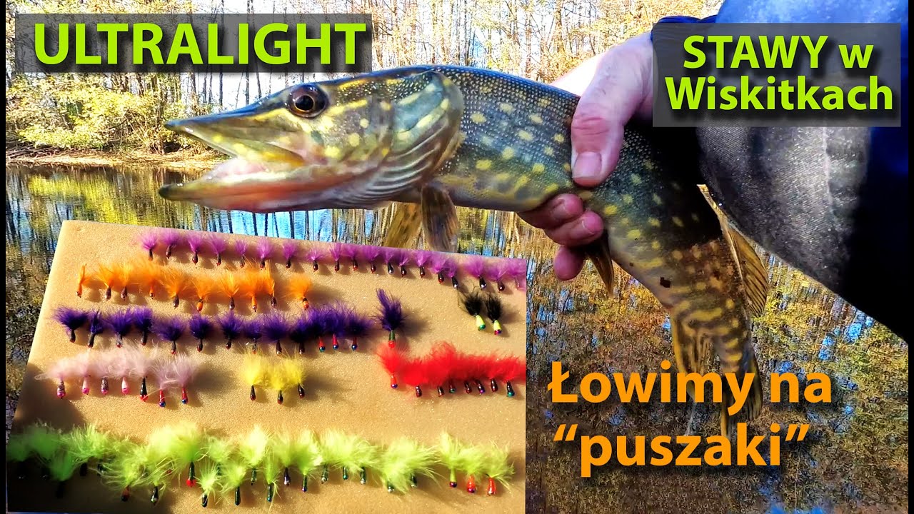 LIPAR -  Ultralight  na Stawach w Wiskitkach