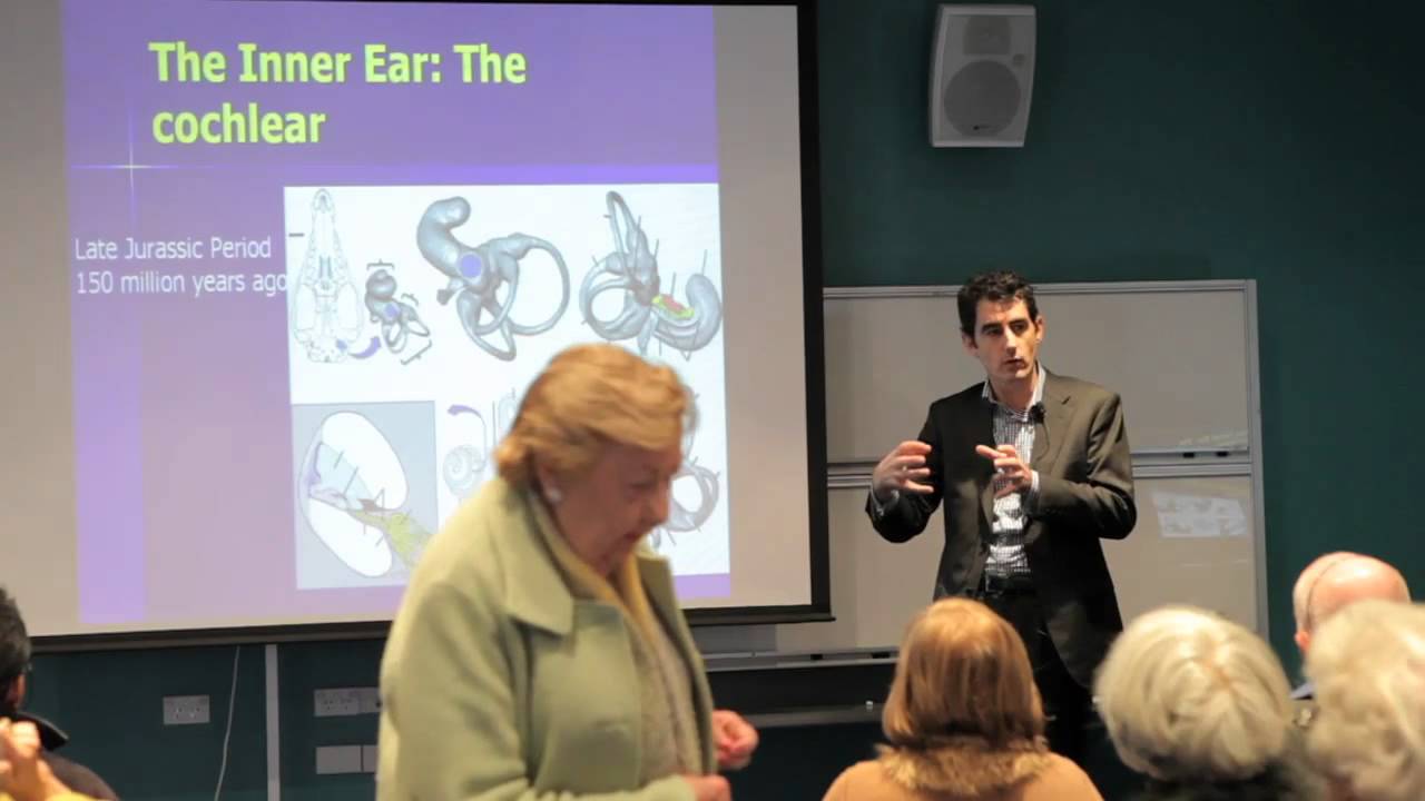 The Evolution of Hearing - Dr Sean Flanagan at Hearing Awareness Week 2012