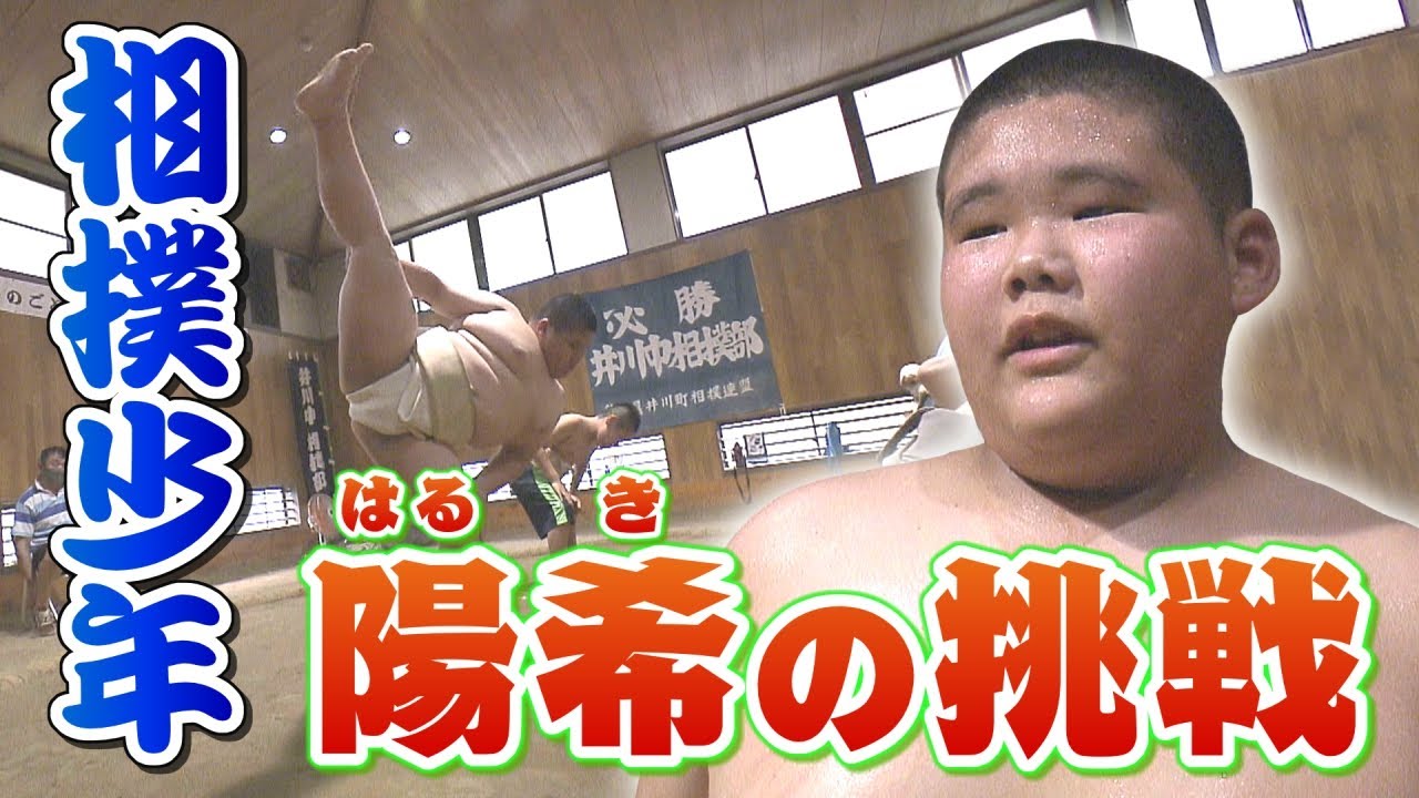 目指せ横綱！相撲少年の挑戦