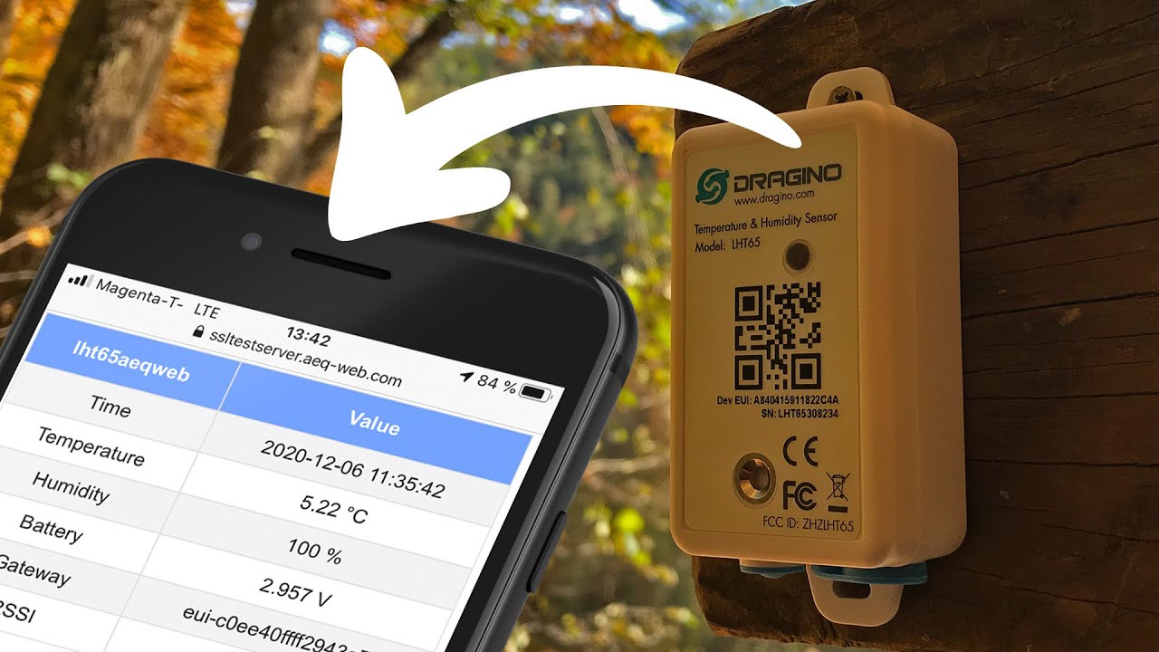 Daten vom LoRa Sensor über TTN zur eigenen Webseite | TTN HTTP Integration