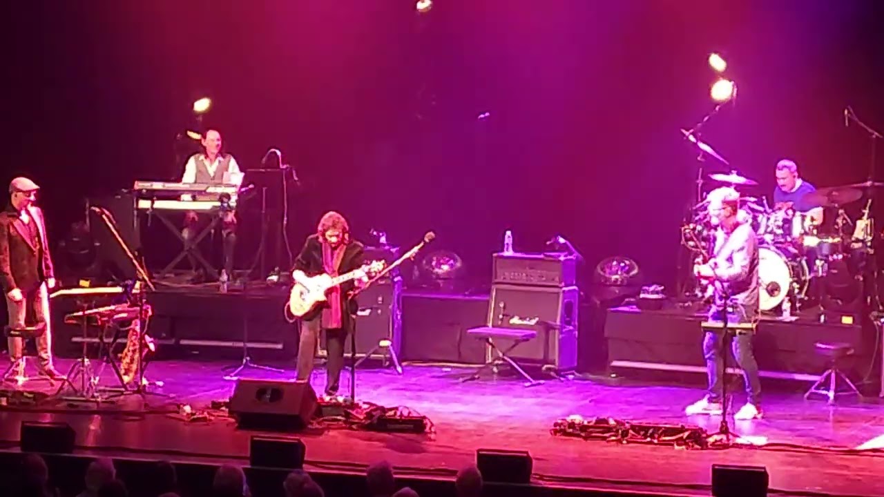 Steve Hackett 