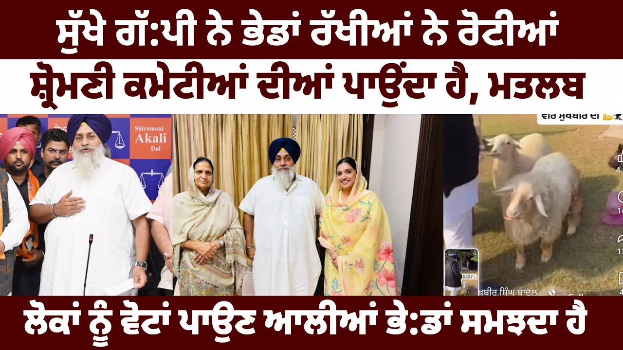 ਬਾਦਲਾਂ ਲਈ ਪੰਜਾਬ ਲੋਕ ਕੇਵਲ ਭੇ:ਡਾਂ ਦੀ ਤਰਾਂ ਨੇ, ਗਿਆਨੀ ਬੂਟਾ ਸਿੰਘ