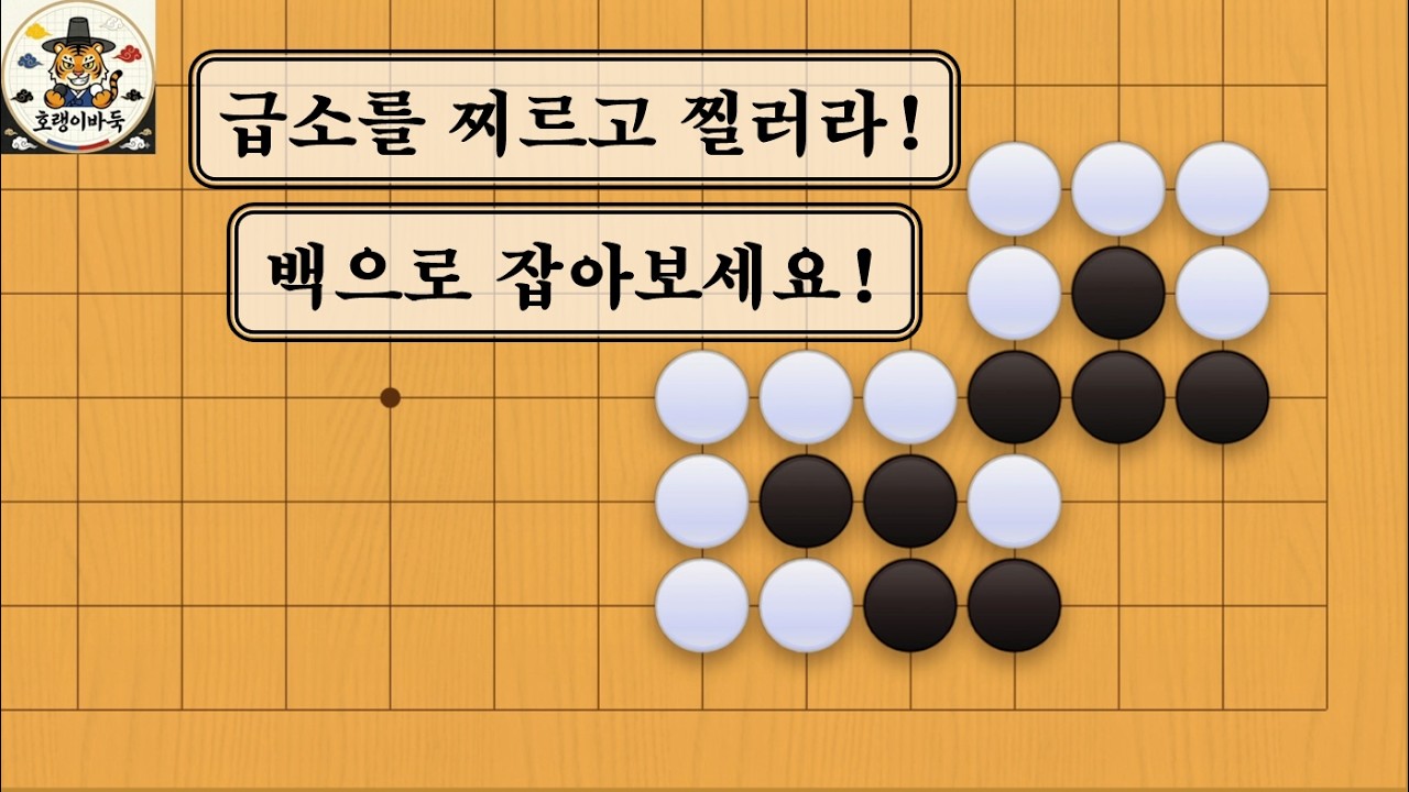 [바둑 사활] 급소를 두번이나 잔인하게 찌르는 문제