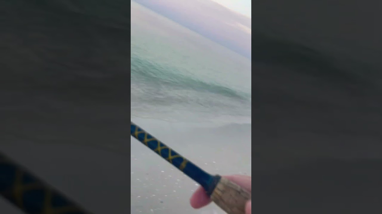 Top water every cast (Doctors Pass, Naples Florida) #fishing #floridafishing #fish #florida #redfish
