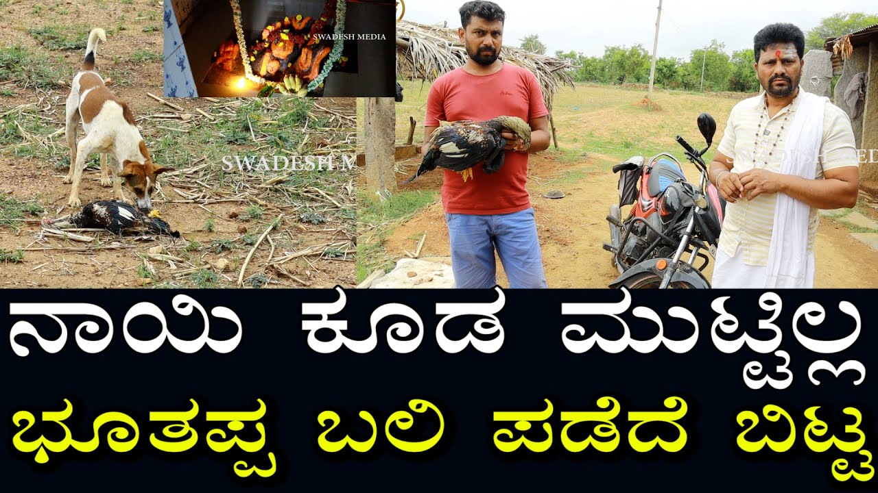ಭೂತಪ್ಪ- 03 | ಒಂದು ಕೊಟ್ಟು ಒಂದು ಬಿಟ್ಟಿದ್ದಾಕೆ ಏನಾಯ್ತು ನೋಡಿ? ಭೂತಪ್ಪ ಬಲಿಯನ್ನು ಬಿಡಲೇ ಇಲ್ಲ