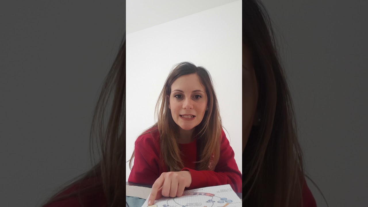 Metabolismo dei lipidi