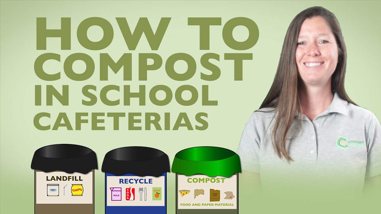 How to Compost in Your School