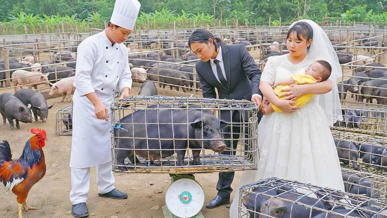 Wedding Dreams Shattered: Minh & Linh’s Pig Sold for Cash – Then Suddenly Stolen!