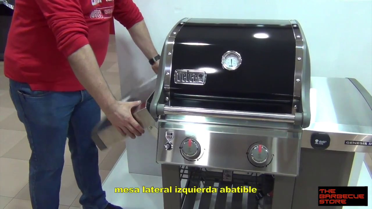 Barbacoa a gas Weber Genesis II E-210