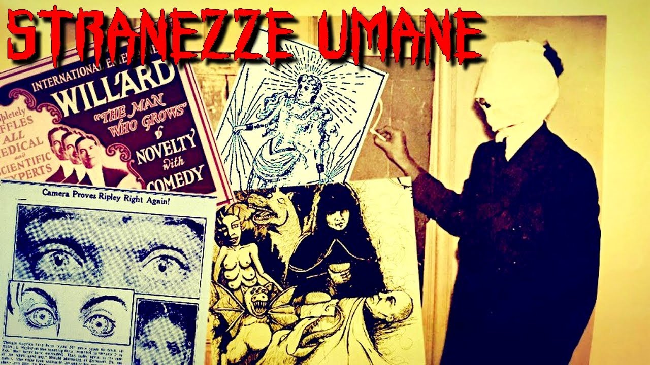 5 STRANEZZE UMANE