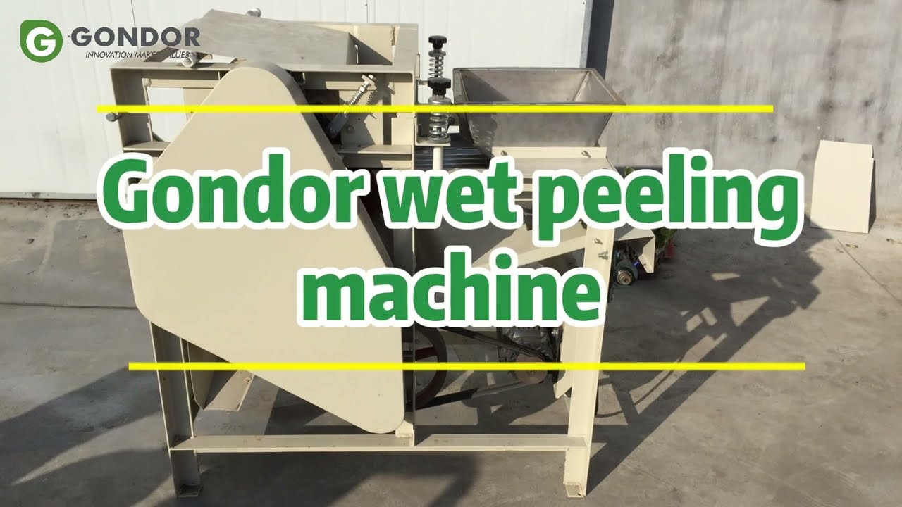 Gondor Almond Skin Removal Wet Peeling Machine – Efficient, High-Quality Almond Peeling 🌰💧