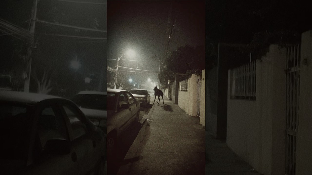 CCTV Camera Captures Chupacabra Lurking In Mexico Suburb