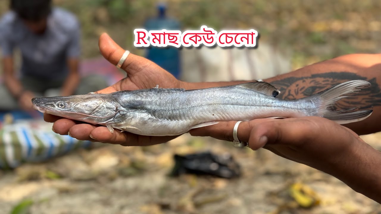 নতুন একটা ভিডিও নিয়ে চলে এসেছি সেরা ভিডিও দেখলে বুঝতে পারবেন আজকে আমরা কি রান্না করতে চলেছি।