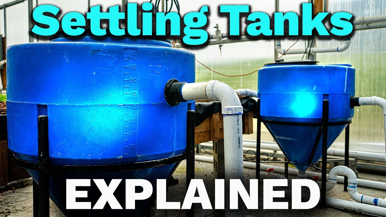 What settling tank should you use for aquaponics?