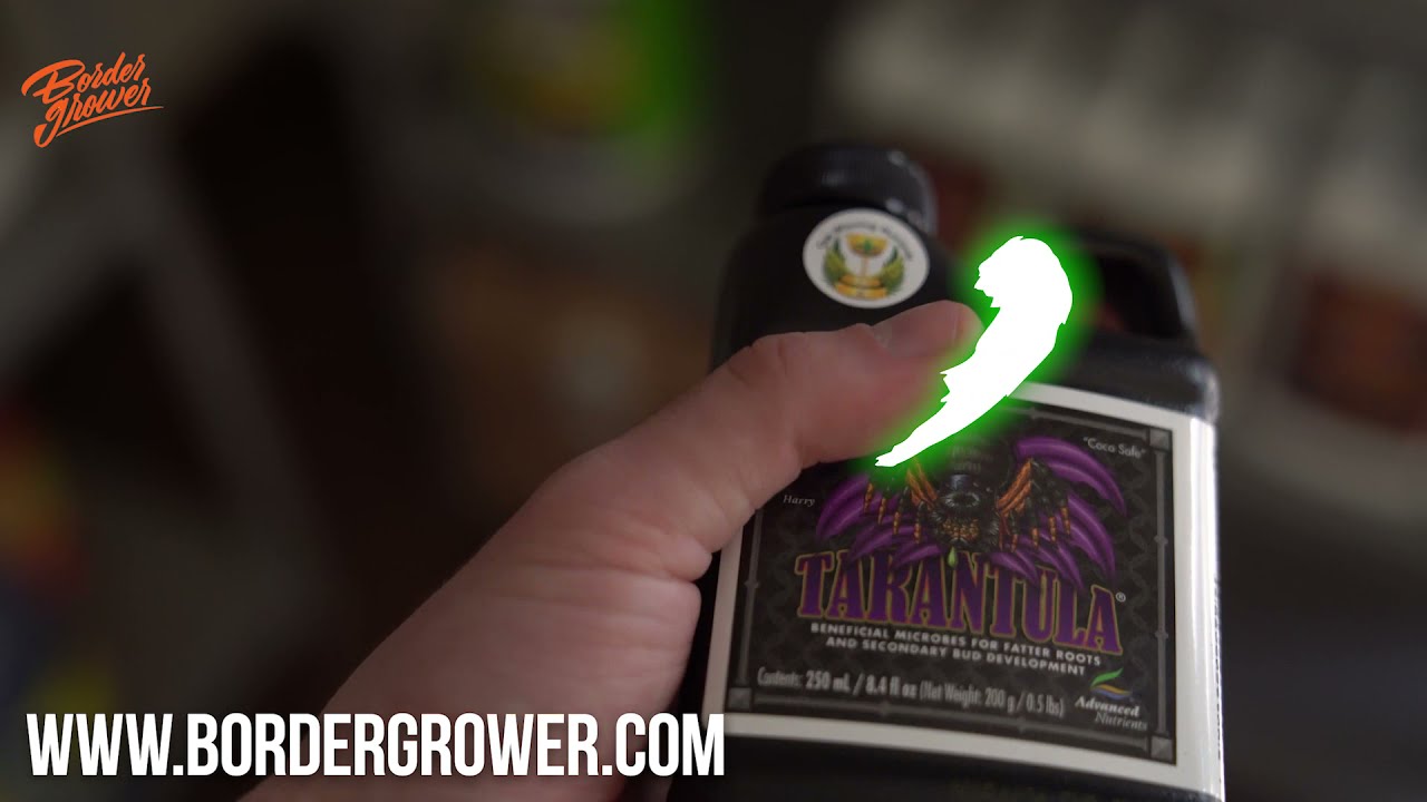 Enraizador 100% Org&aacute;nico e inteligente que maximiza tu ra&iacute;z, Tarantula de Advanced Nutrients.