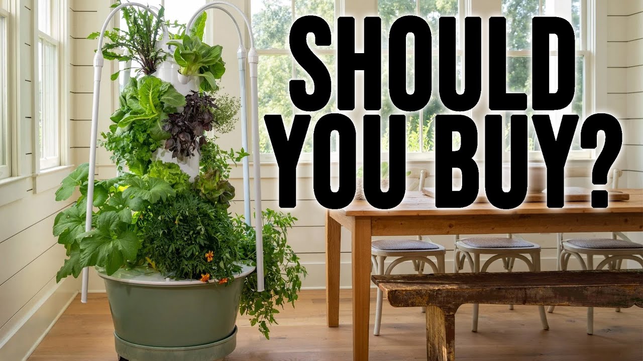 A Brutally Honest Tower Garden Flex Review From A Long Time User