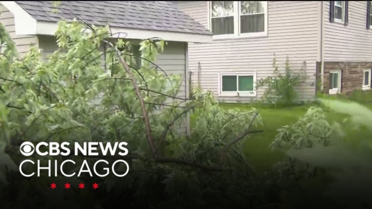 Strong storms leave downed trees in Shorewood